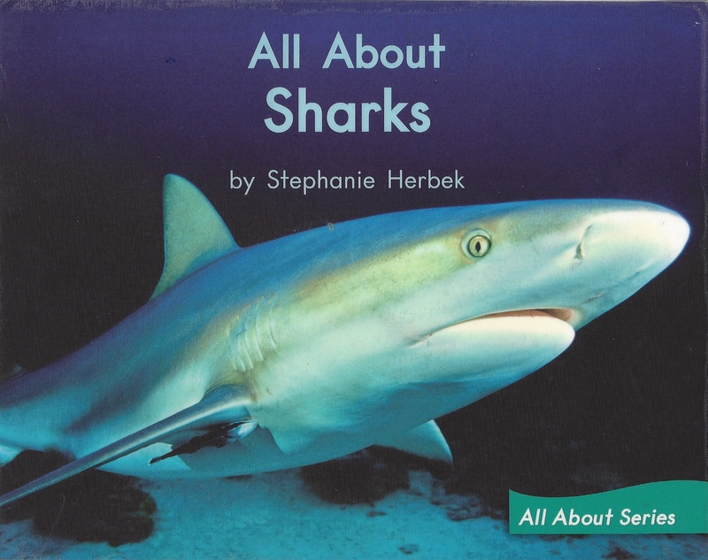 Blue 31 All About Sharks.jpg