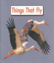 B2 Things that Fly.png