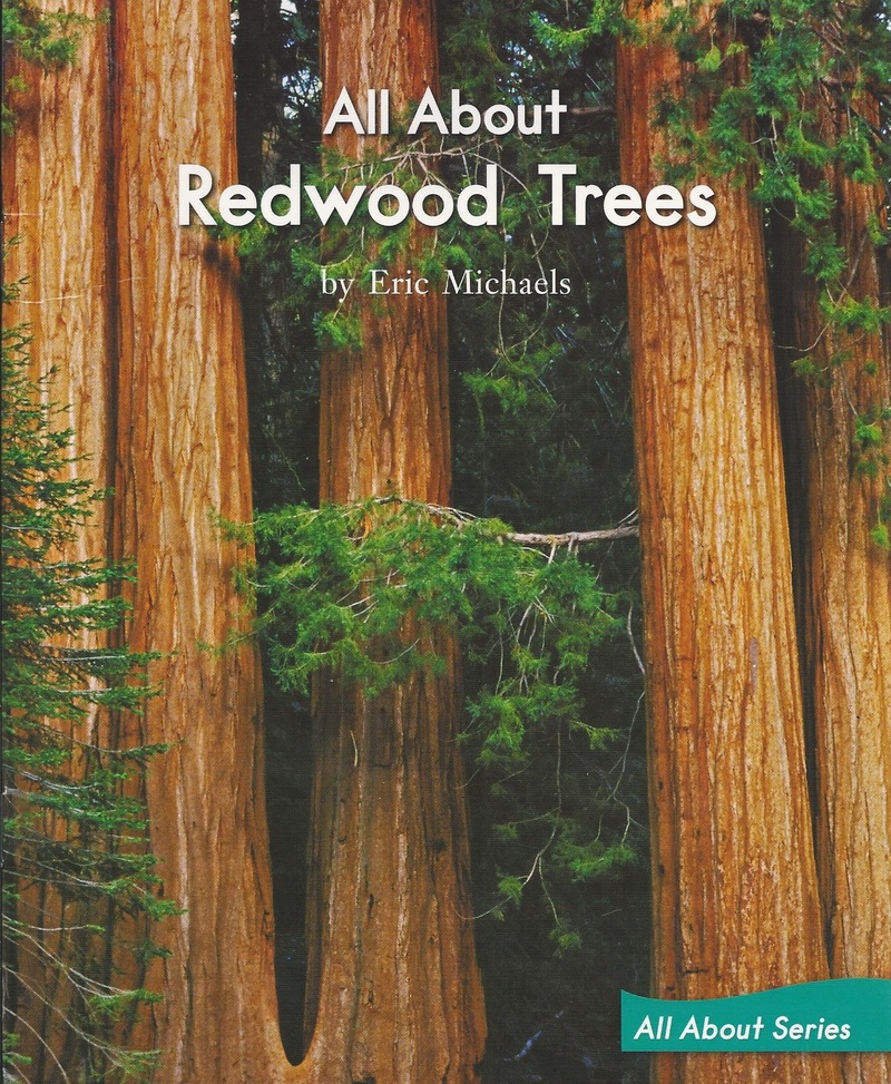 Blue86-All about Redwood Trees.jpg