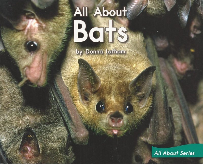 Blue73-All About Bats.jpg